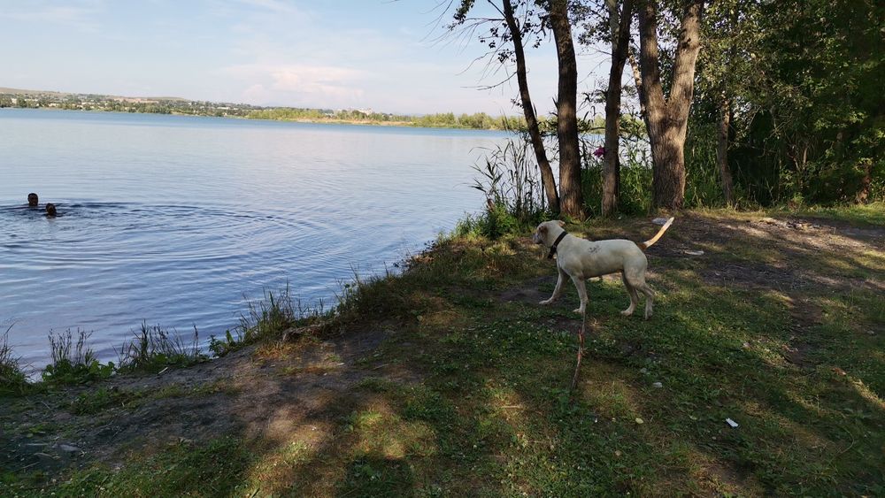 Продам дачу Сады