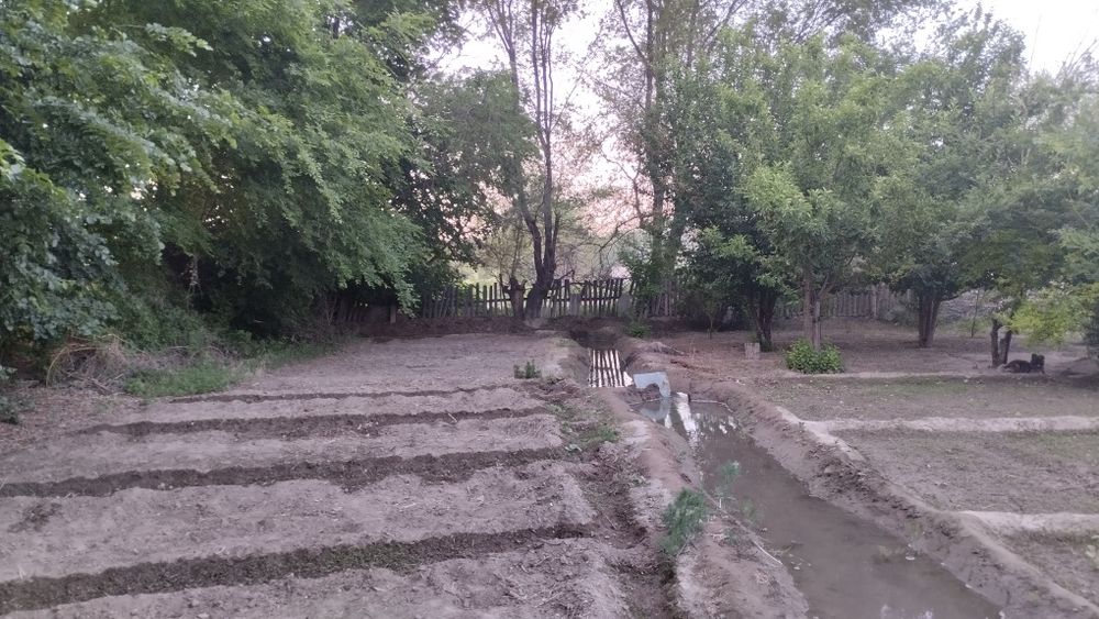 Срочно Продам дом с большим участком