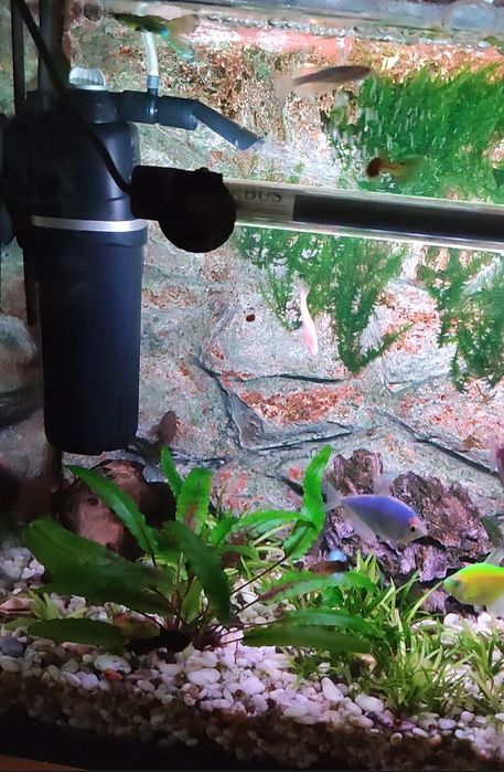 Аквариум на 40 литров