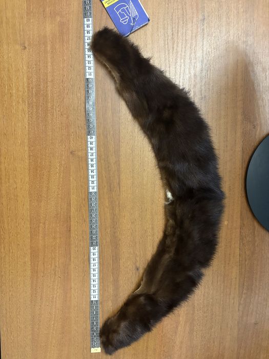 Шкурки норки новые