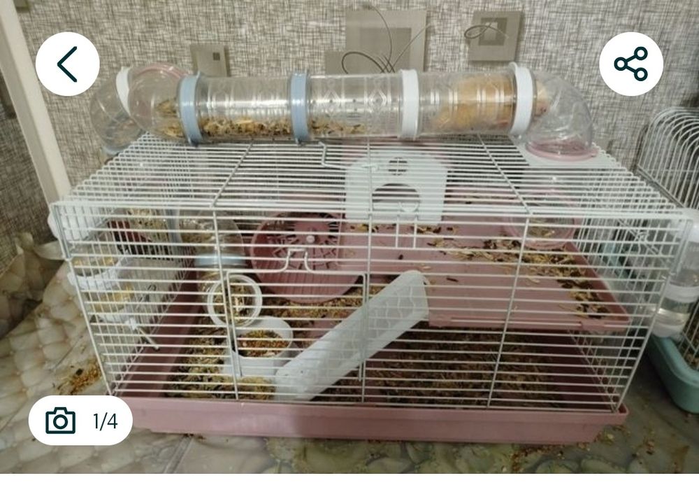 Хомяклар учун кафаслар сотилади