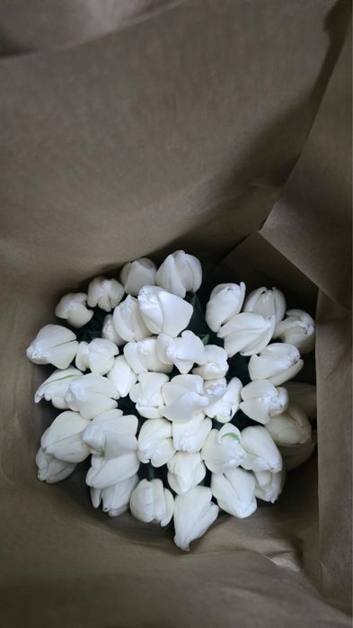 Тюльпаны оптом Алматы