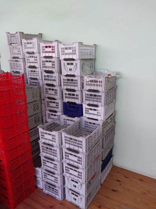 Пластик ящик. Plasmas yashak