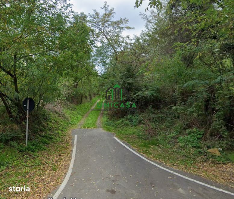 Teren 12.690 mp | 3.900 mp intravilan | Ocnele Mari- Slatioarele