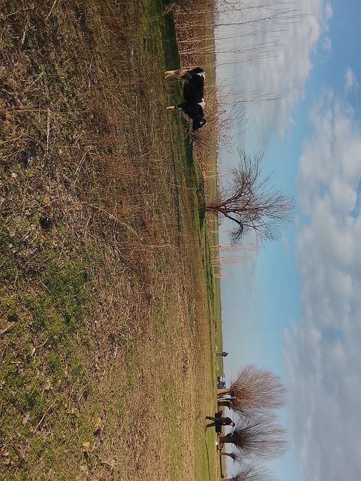 Срочна 53 сотихли йер учаскамиз сотуга чикти