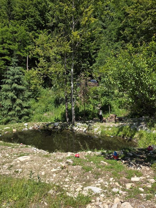 Teren Lunca Visagului