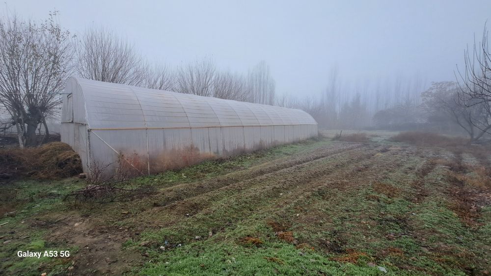 2 сотих Теплица, контейнердан, сотилади