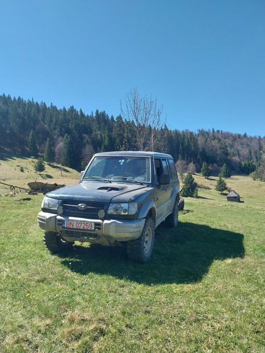 Hiunday galoper 2.5 de vanzare