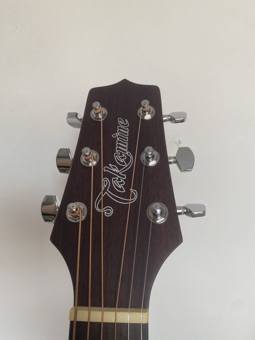 Takamine GD11M NS