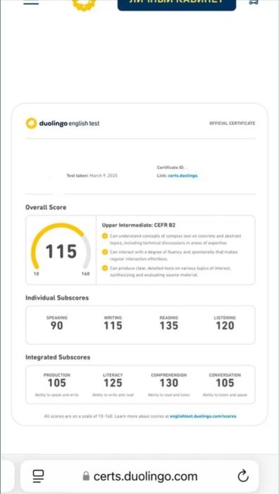 DuoLingo 80-120 балл (TOEFL)