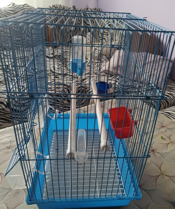 Кафез за канарчета