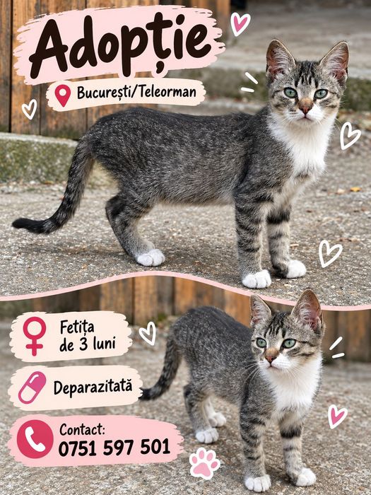 Adopție București/ Teleorman fetițe 5 luni curte sau bloc