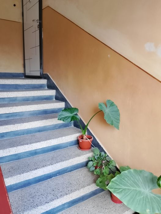 Продава се Тристаен апартамент в Плевен, 9-ти квартал - 106 кв.м за 866 €/кв.м - Снимка #19