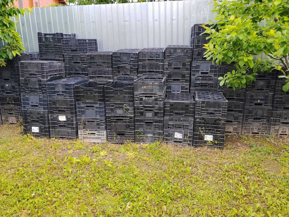 Lazi de plastic pentru depozitare, foarte solide