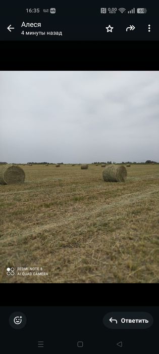Продам сено в рулонах