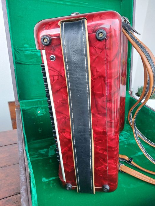 Acordeon Parrot 120 basi
