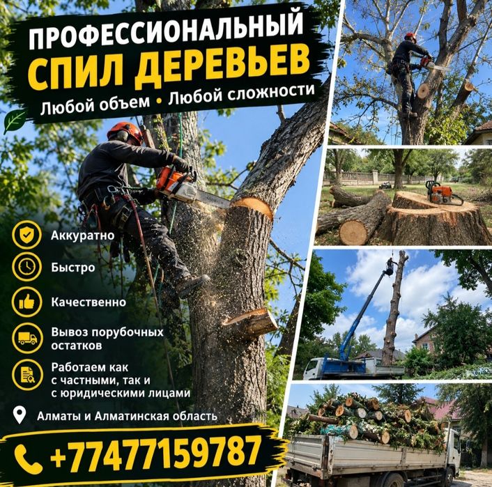 Профессиональный спил деревьев