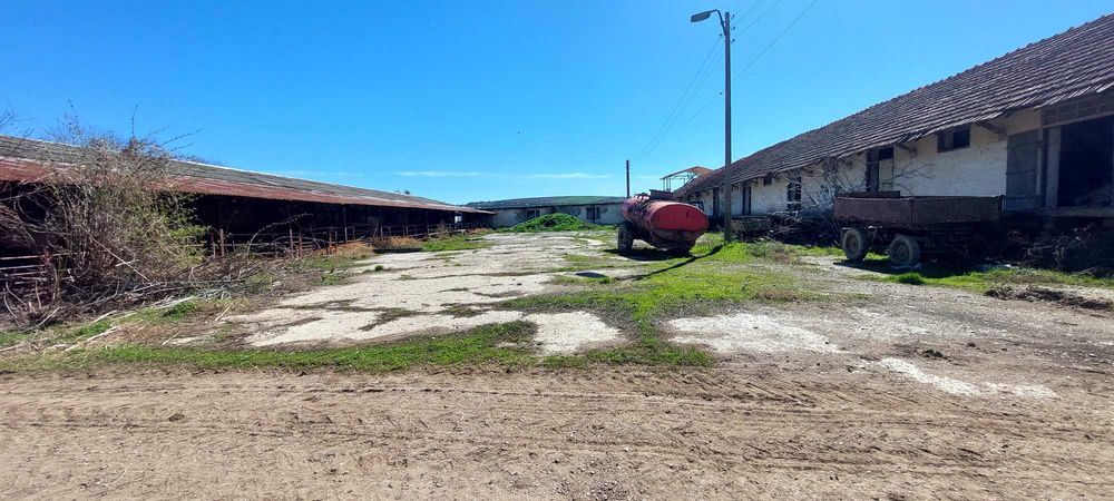 Продава се Промишлена сграда в с. Рибен, Област Плевен - 4100 кв.м за 57 €/кв.м - Снимка #16