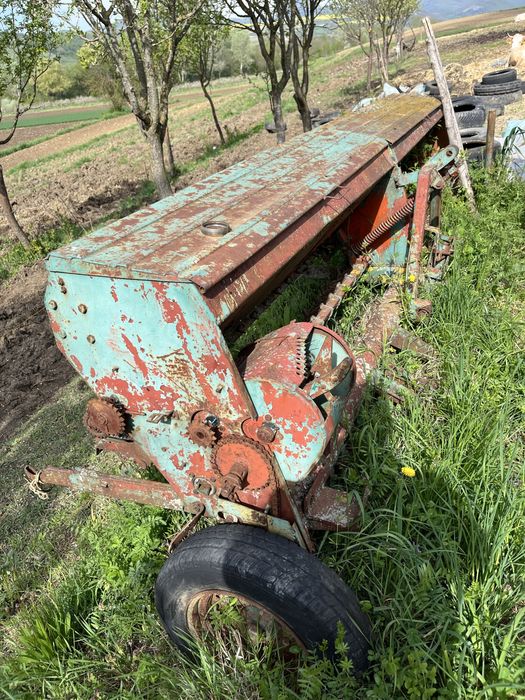 Semanatoare paioase sup 29