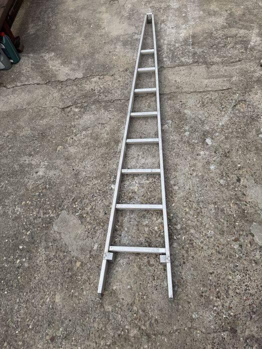 Scara vie pomi fructiferi