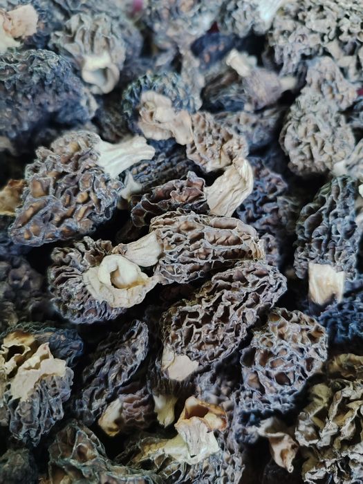 Грибы сморчки сушеные