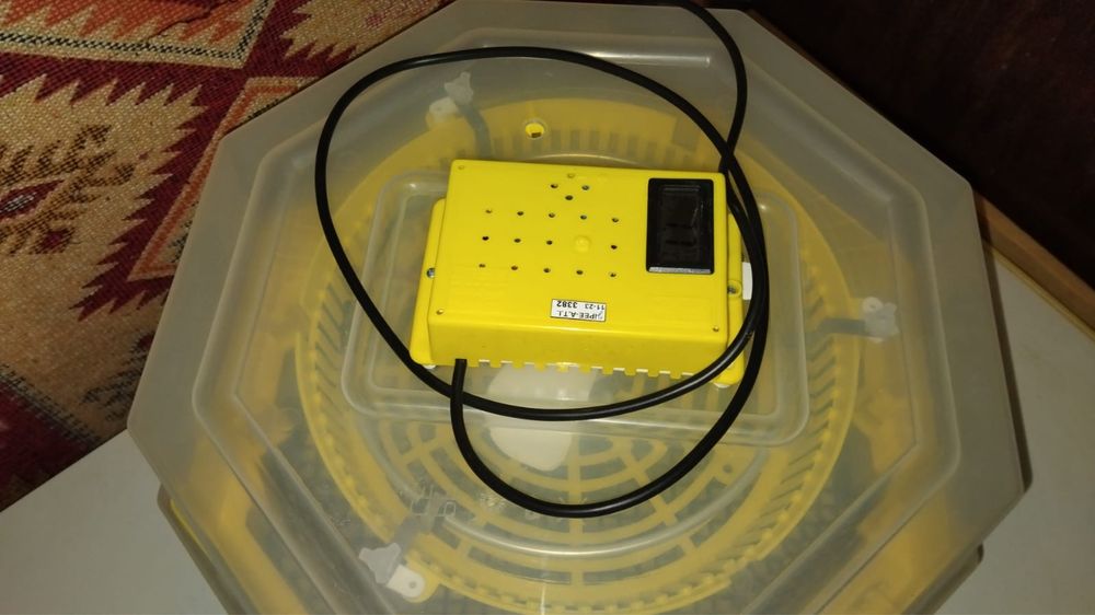 Incubator oua struti