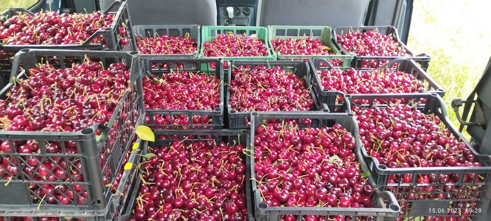 Продава се Земеделски имот в София, Надежда 4 -  кв.м за 2040 €/дка - Снимка #4