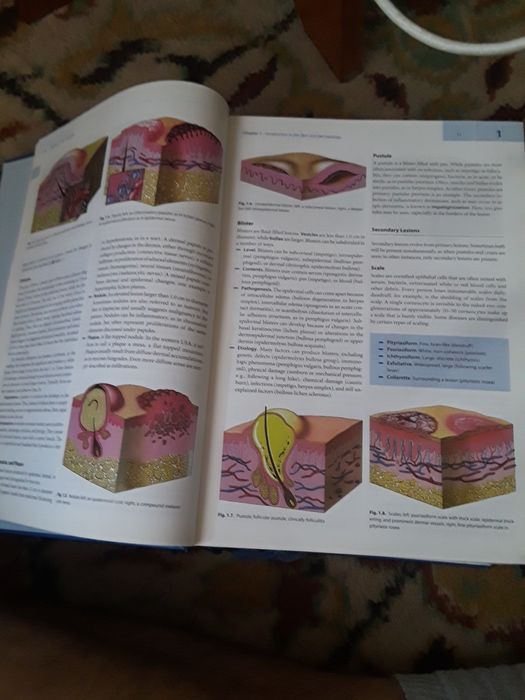 Braun Falco ed 3 Dermatologie