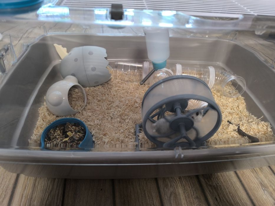 Hamster cu tot cu cușcă.