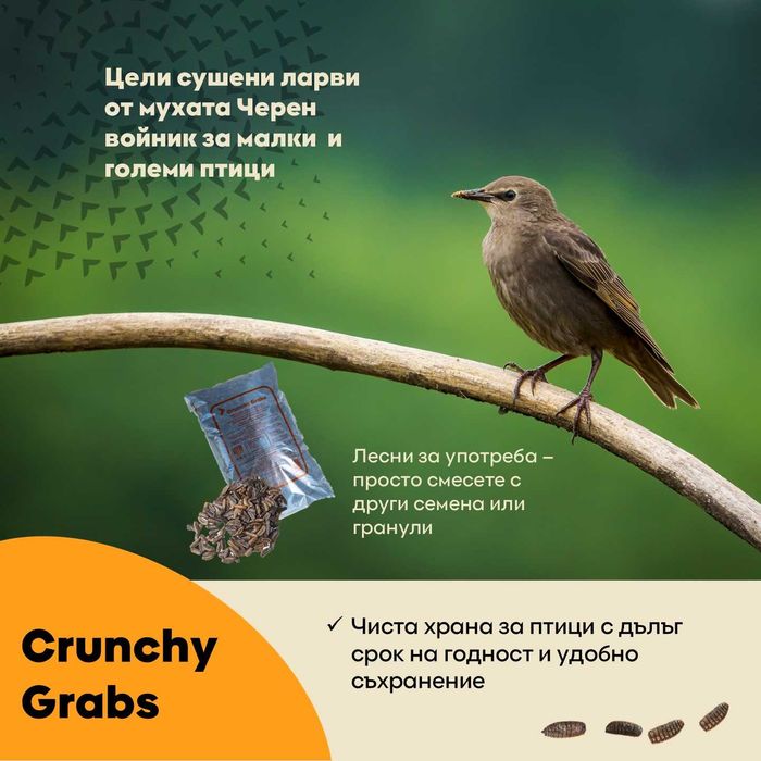 Сушени ларви за вашите домашни любимци - 100% натурален протеин