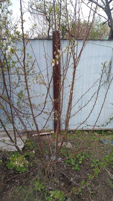 Продам Абрикос район заречный