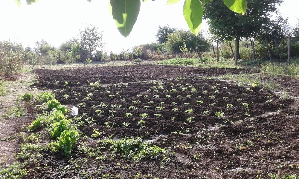 Продава се Къща в с. Черни връх, Област Бургас - 9 кв.м за 4111 €/кв.м - Снимка #6