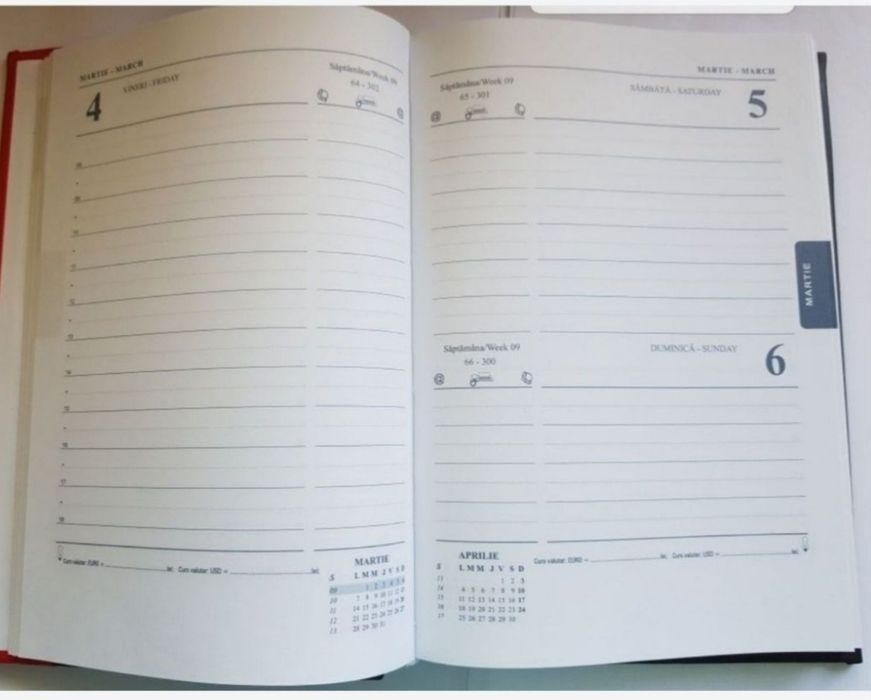 Agendă business notes