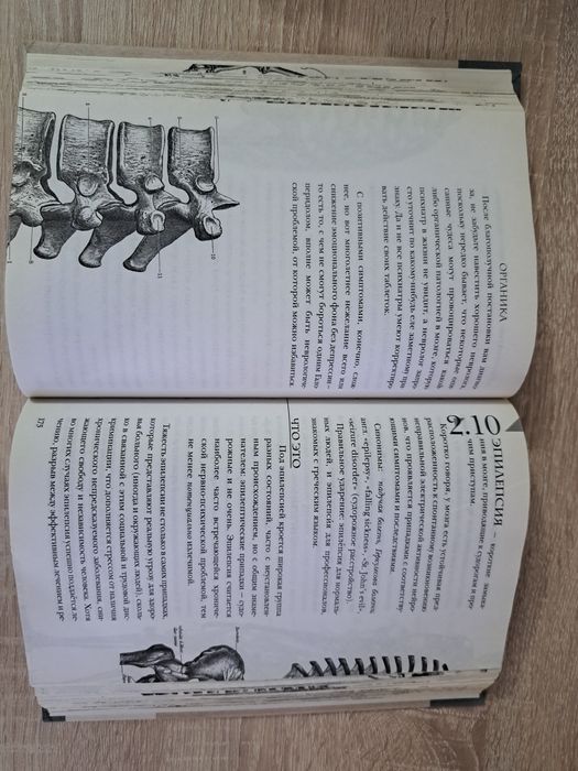 Модицина. Никита Жуков