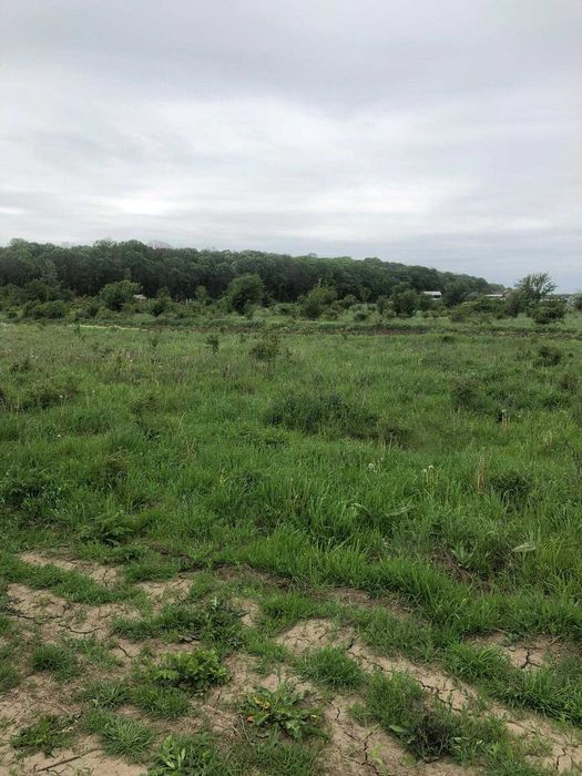 Vand teren in Teghes, Domnesti, Ilfov