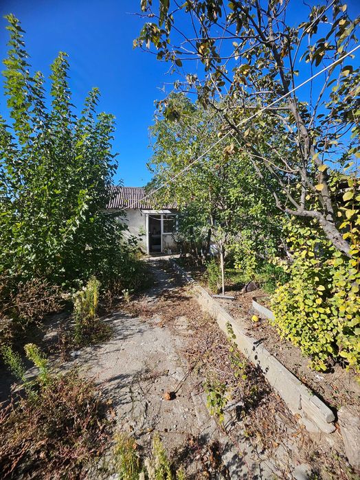 Продава се Къща в с. Йерусалимово, Област Хасково - 100 кв.м за 150 €/кв.м - Снимка #3