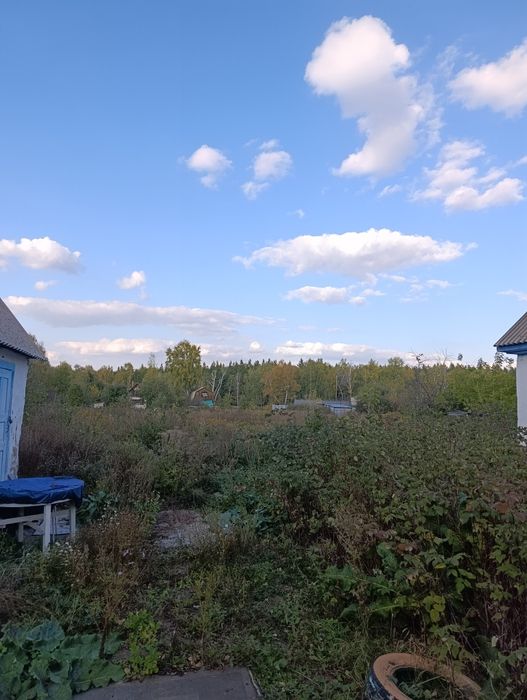 Продам дачи в городе Щучинск