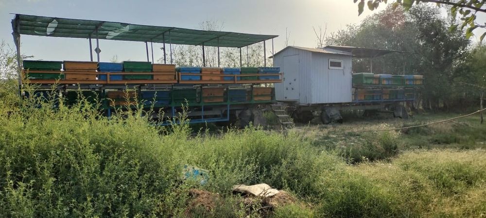 Продетчся Пасека,