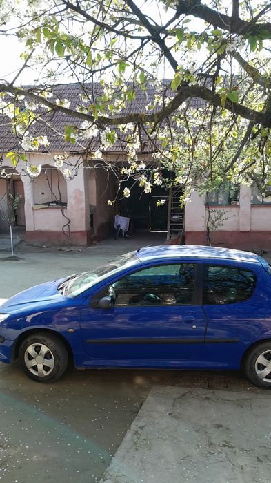 Peugeot 206 ,benzina 1,4.