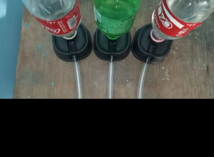 Инкубатор для яиц
