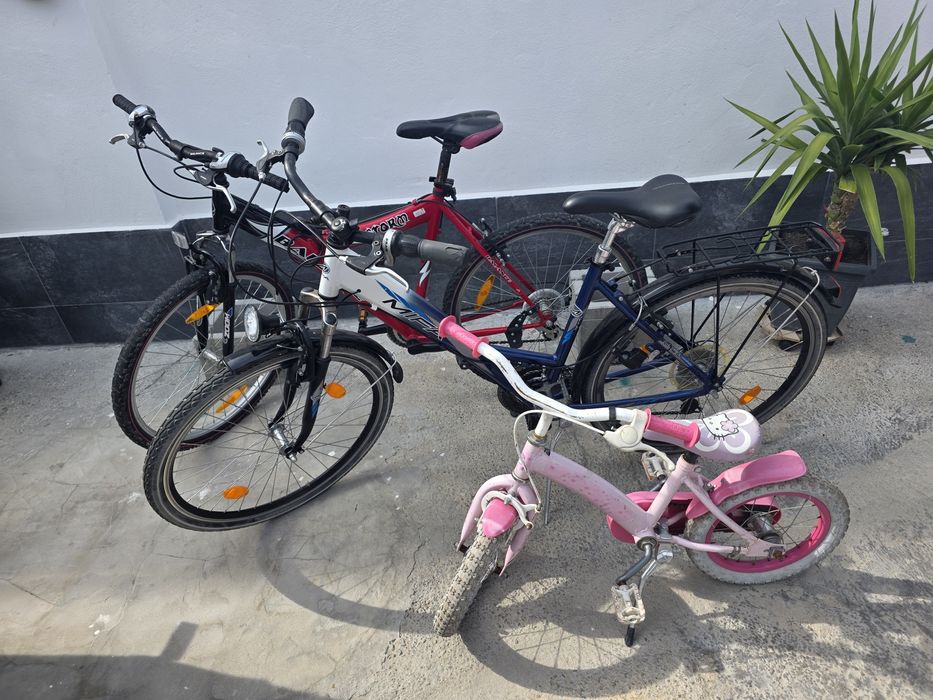 Bicicleta diferite modele