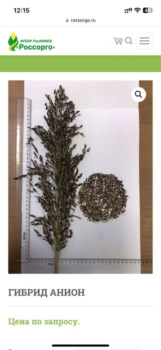 Семена: Сорго зерновое Чечевица Травы:Эспарцет Донник Люцерна Суданка