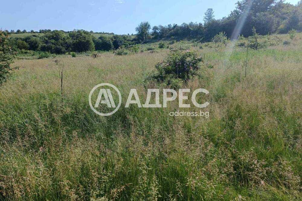 Равен парцел  с. Балкански