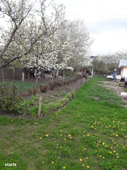 Vând grădină în Târgu Frumos