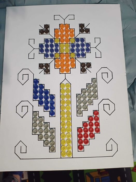 апликации шевици