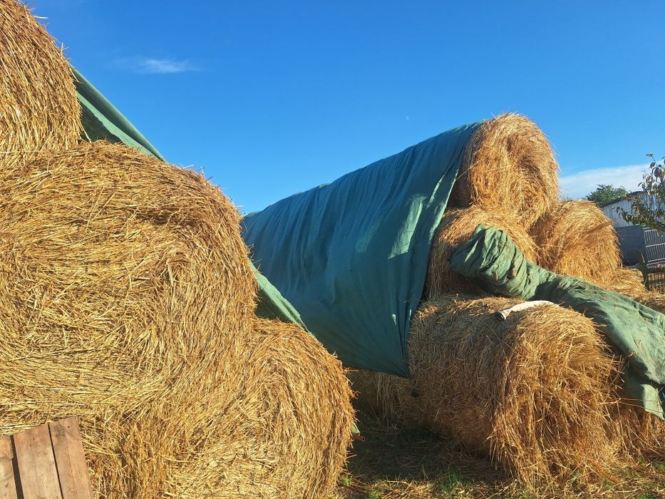 Baloti rotunzi de paie