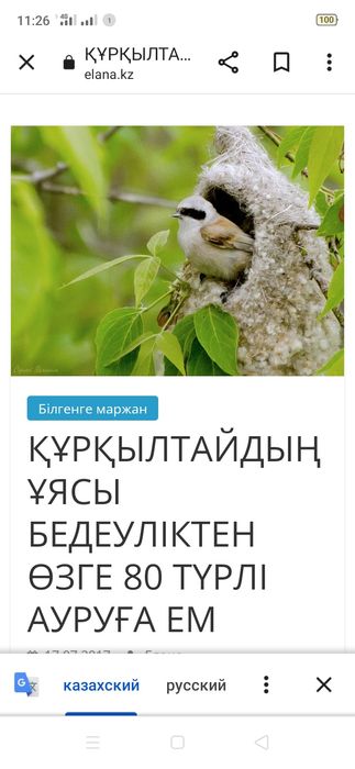 Куркылтай уясы ем ушин