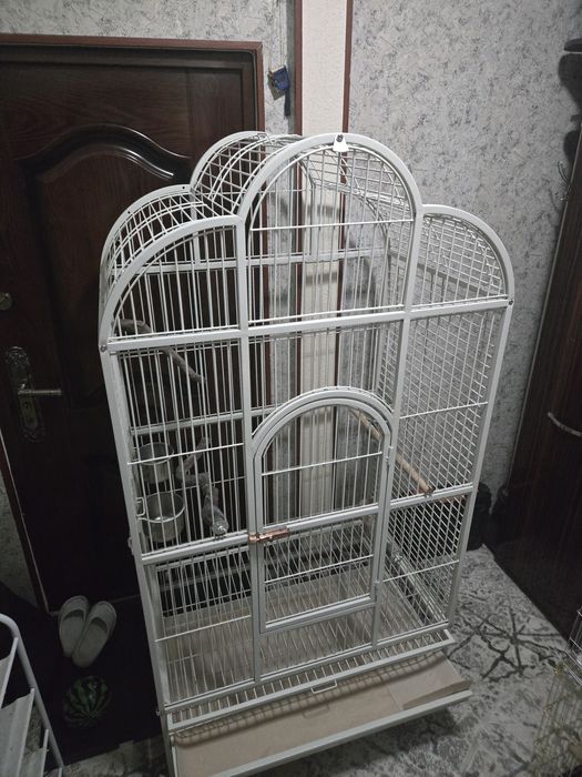 Клетка для попугай продаётся.