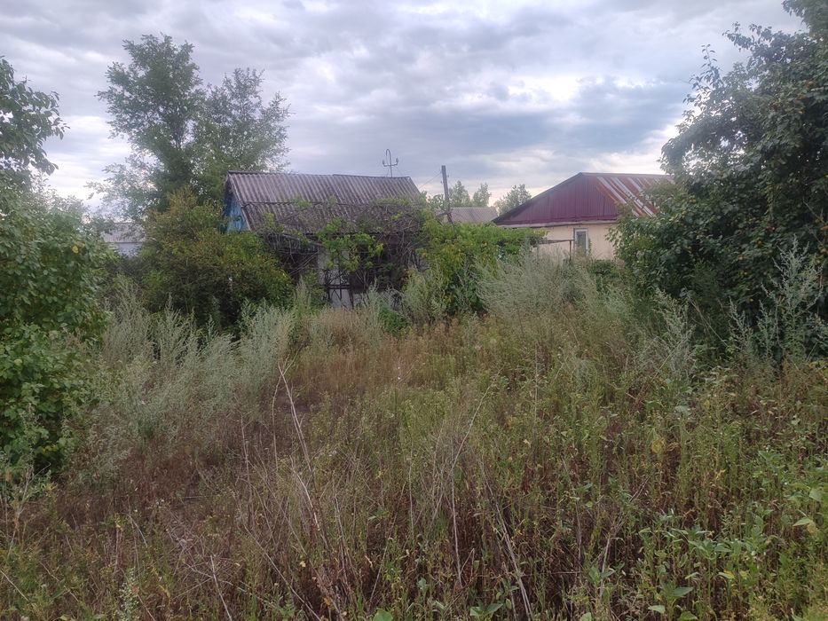 ЯБЛОНЬКА Есть торг продам дачу