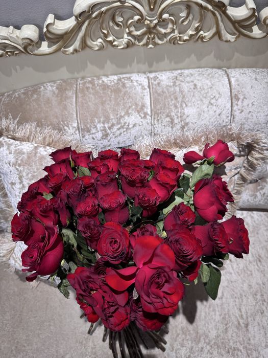 Красные розы41шт